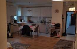 Apartament 2 camere, 55 mp, terasa, zona Pietei Mihai Viteazu