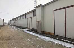 Hala industriala,pentru depozitare, 250mp, zona OMW Floresti