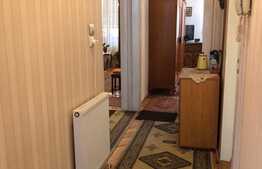 De vanzare apartament 2 camere, 80 mp, garaj, strada Horea!