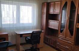 Garsoniera spatioasa in zona linistita, 22 mp, zona Stadion CFR