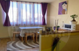 Garsoniera luminoasa, etaj intermediar, 28mp, zona Big