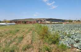 Teren de vanzare, 3500 mp, front 40 ml, zona Apahida