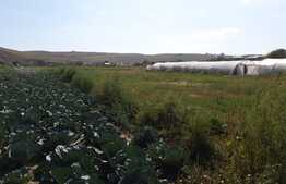 Teren de vanzare, 3500 mp, front 40 ml, zona Apahida