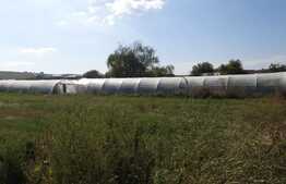 Teren de vanzare, 3500 mp, front 40 ml, zona Apahida