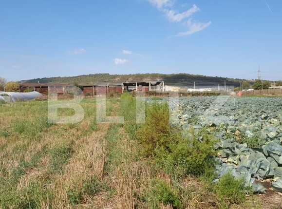 Teren de vânzare Apahida - 47378TV | BLITZ Cluj-Napoca | Poza3