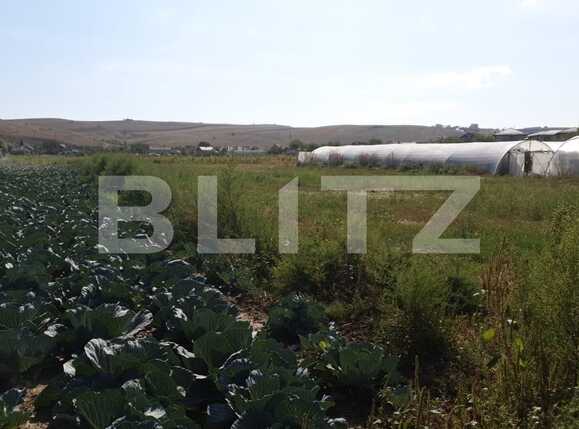 Teren de vânzare Apahida - 47378TV | BLITZ Cluj-Napoca | Poza5