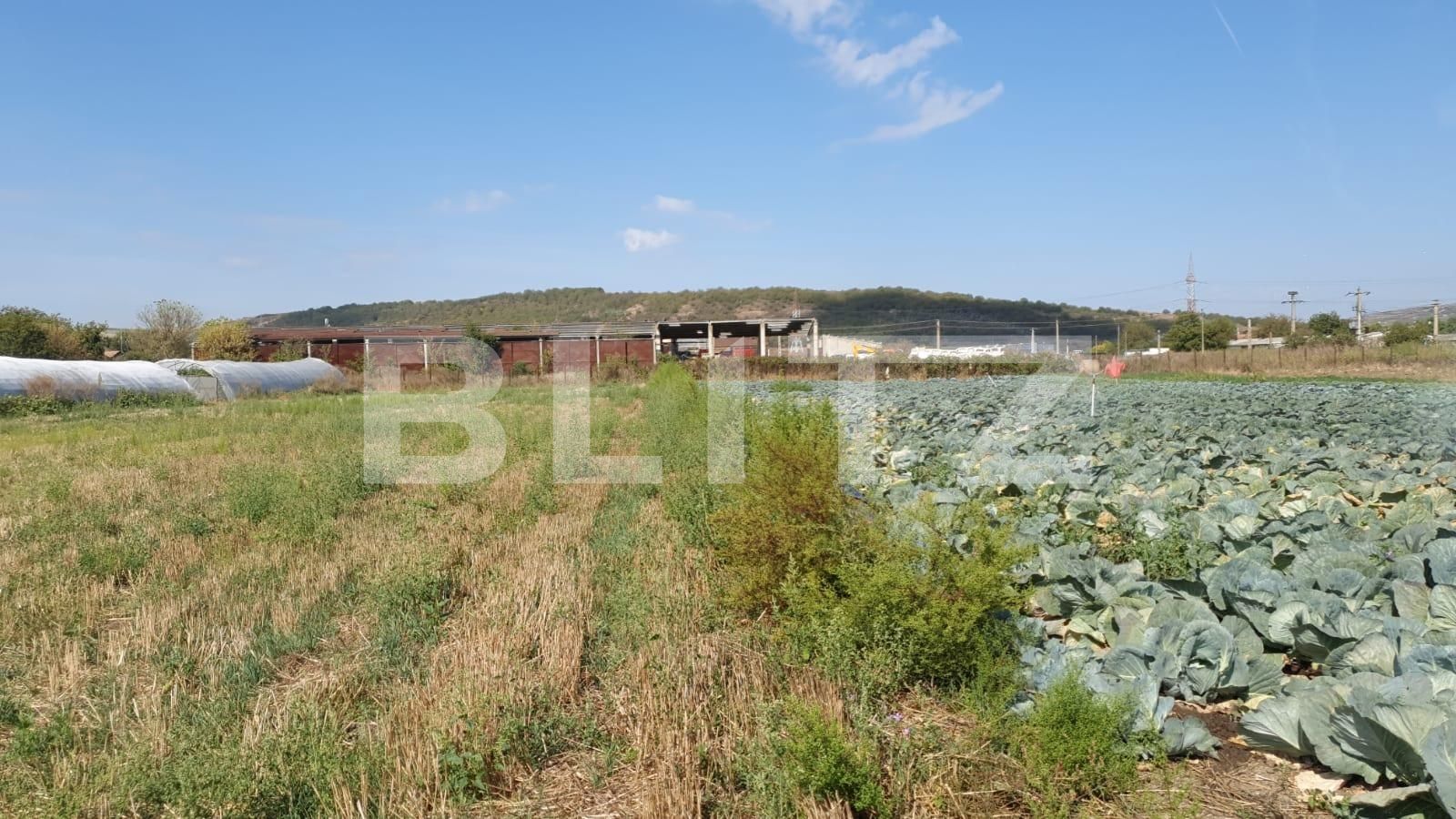 Teren de vânzare Apahida - 47378TV | BLITZ Cluj-Napoca | Poza3