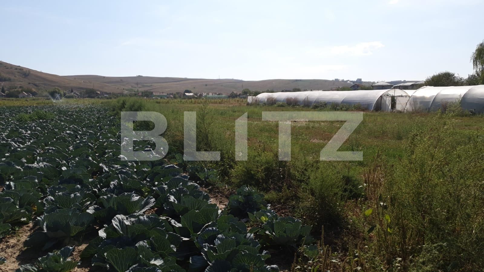 Teren de vânzare Apahida - 47378TV | BLITZ Cluj-Napoca | Poza5