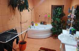 Apartament 3 camere, 90mp, AC, loc parcare! Zona strazii Muzeul Apei!