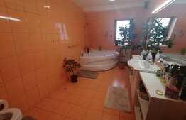 Apartament 3 camere, 90mp, AC, loc parcare! Zona strazii Muzeul Apei!