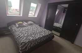 Apartament 3 camere, 90mp, AC, loc parcare! Zona strazii Muzeul Apei!