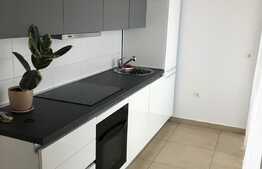 Penthouse 160 mp, terasa 120 mp, garaj, zona Sofia Residence