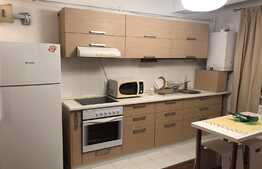 Apartament 2 camere, decomandat, 50 mp, modern, zona strazii Campului