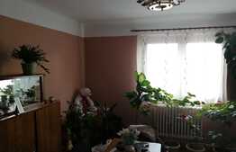 Casa individuala de vanzare Dambul Rotund teren 2000 mp