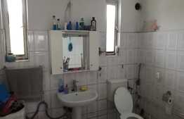 Casa individuala de vanzare Dambul Rotund teren 2000 mp