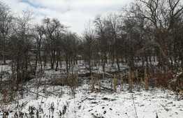 Casa individuala de vanzare Dambul Rotund teren 2000 mp