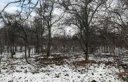 Casa individuala de vanzare Dambul Rotund teren 2000 mp