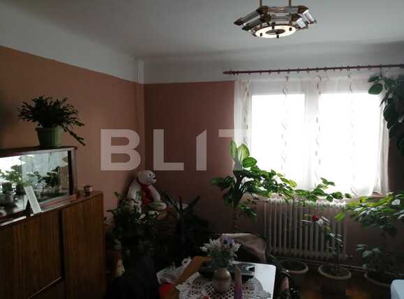 Casa de vânzare 5 camere Dambul Rotund - 47393CV | BLITZ Cluj-Napoca | Poza4