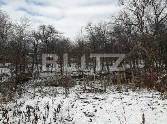 Casa de vânzare 5 camere Dambul Rotund - 47393CV | BLITZ Cluj-Napoca | Poza8