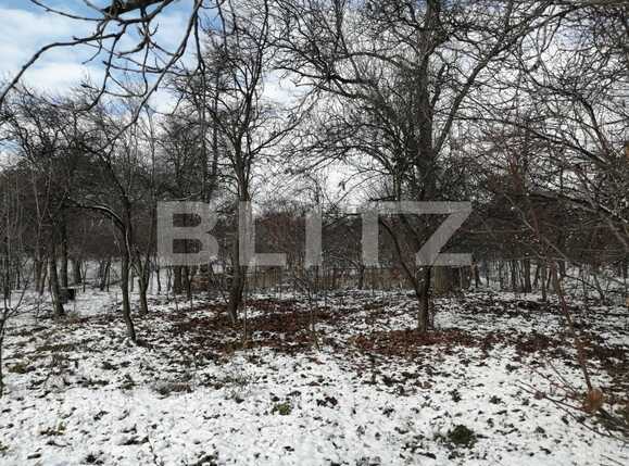 Casa de vânzare 5 camere Dambul Rotund - 47393CV | BLITZ Cluj-Napoca | Poza7