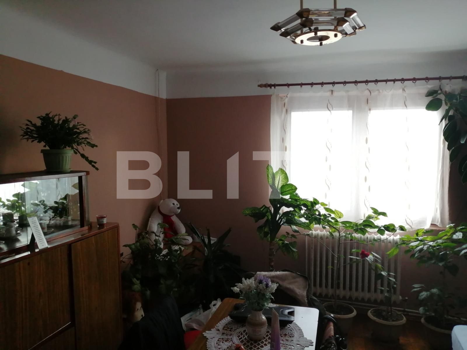 Casa de vânzare 5 camere Dambul Rotund - 47393CV | BLITZ Cluj-Napoca | Poza4