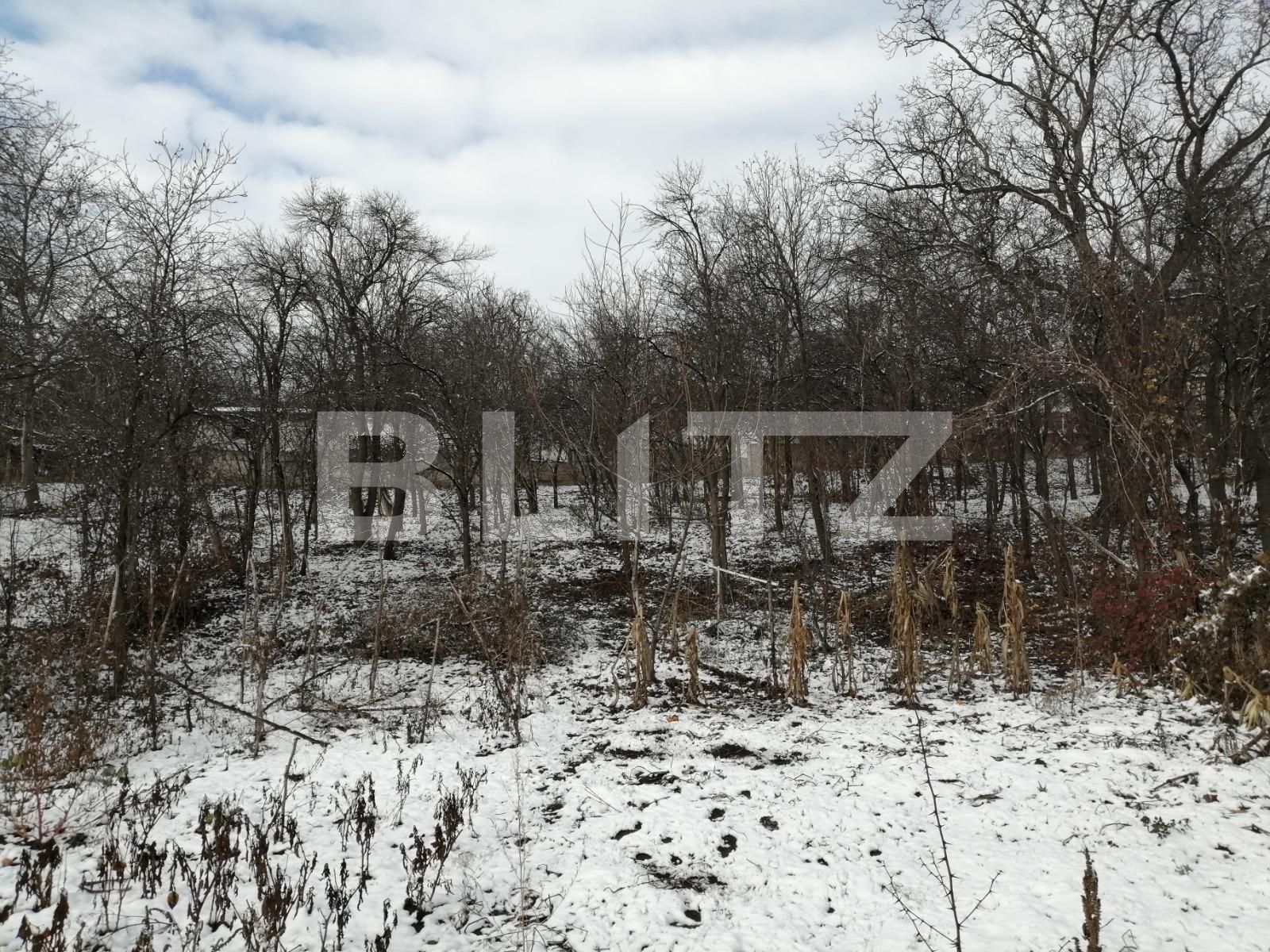 Casa de vânzare 5 camere Dambul Rotund - 47393CV | BLITZ Cluj-Napoca | Poza8