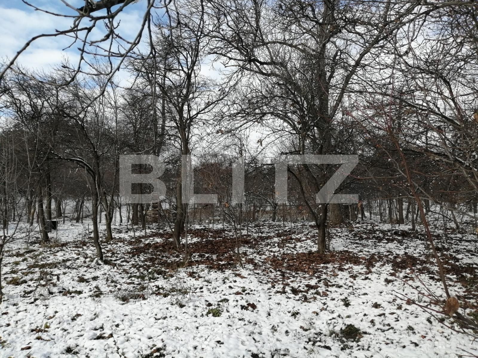 Casa de vânzare 5 camere Dambul Rotund - 47393CV | BLITZ Cluj-Napoca | Poza7