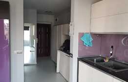 Apartament modern, AC, ideal investitie, 53mp, loc parcare, lumini LED! Zona strazii Florilor!