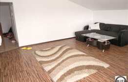 Vanzare apartament 3 camere, 198 mp zona Corneliu Coposu