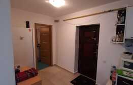 Apartament cu 3 camere, parter inalt, cu balcon, zona Ioan Rus