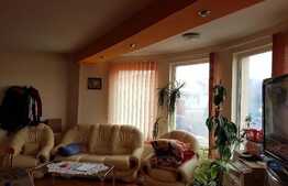 Casa de vanzare in Jucu de Mijloc 