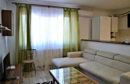 Apartament 2 camere, NOU, AC, strada Gheorghe Doja!