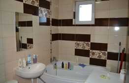 Apartament 1 camera, 31mp, zona Porii, pet friendly