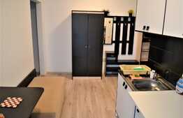Apartament 1 camera, 31mp, zona Porii, pet friendly