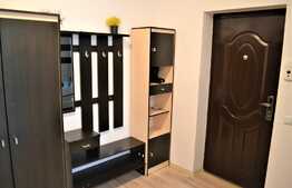 Apartament 1 camera, 31mp, zona Porii, pet friendly