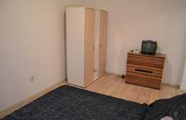 Apartament 1 camera, 31mp, zona Porii, pet friendly