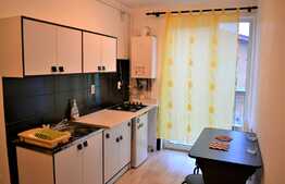 Apartament 1 camera, 31mp, zona Porii, pet friendly