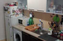 Apartament cochet zona Eroilor, 32 mp, parcare si pod