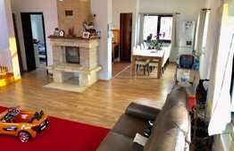 Casa individuala 182 mp utili, 465 mp teren in Salicea