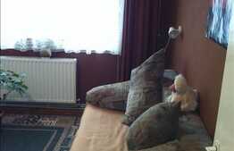 3 cam in zona foarte buna din Zorilor!