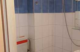 Garsoniera cocheta si spatioasa in zona linistita, 21mp, zona Corneliu Coposu