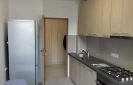 Apartament 3 camere, mobilat utilat lux, etaj intermediar, zona Piata Abator