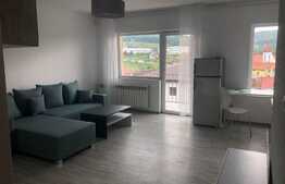 2 camere, cochet, la cheie, 42 mp., zona Stejarului