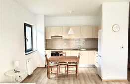 Apartament tip studio, 46 mp, terasa, pet friendly, zona Grand Park 