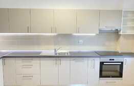 Apartament 2 camere, 75 mp, modern, parcare, pet friendly, zona Grand Park Residence