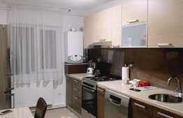 2 camere, modern, 55 mp., zona Terra