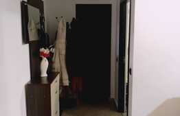 2 camere, modern, 55 mp., zona Terra