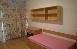 De vanzare garsoniera, 22 mp, ideala pentru investitii, zona Iulius Mall