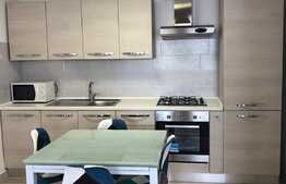 Apartament 2 camere, 60 mp, terasa, garaj, zona Corneliu Coposu