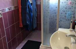 Casa individuala 180 mp, gradina 100 mp, zona strazii Corneliu Coposu